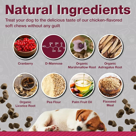 PAWLIFE - Pawlife Cranberry Supplements for Dogs 120 Masticables - The Red Vitamin MX - Salud De Tracto Urinario Para Perros - {{ shop.shopifyCountryName }}