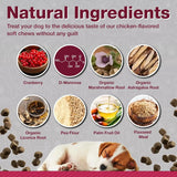 PAWLIFE - Pawlife Cranberry Supplements for Dogs 120 Masticables 2 Pack - The Red Vitamin MX - Salud De Tracto Urinario Para Perros - {{ shop.shopifyCountryName }}