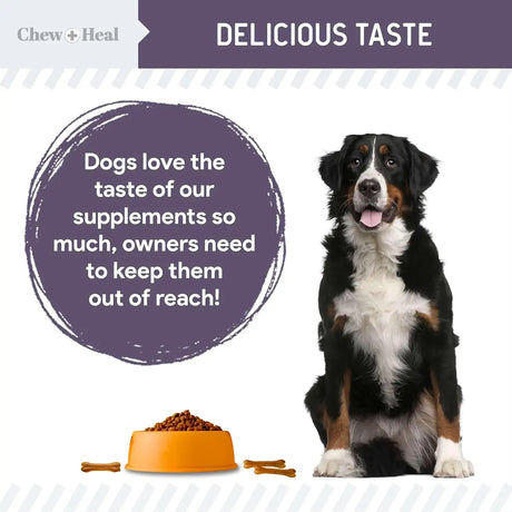 CHEW + HEAL - Chew + Heal Labs Senior Mobility and Vitality 120 Tabletas - The Red Vitamin MX - Cuidado De Cadera Y Articulaciones Para Perros - {{ shop.shopifyCountryName }}