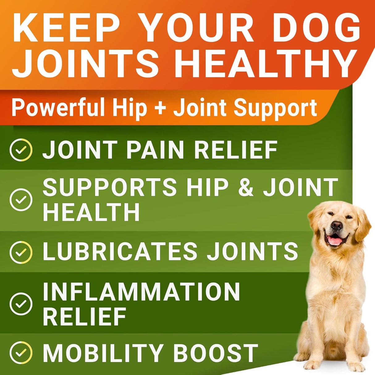 STRELLALAB Glucosamine Treats for Dogs Chicken Flavor 180 Masticables