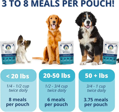 UNDER THE WEATHER - Under the Weather Bland Diet for Dogs Chicken Rice 6 Oz. - The Red Vitamin MX - Medicamentos Sin Receta Para Perros - {{ shop.shopifyCountryName }}