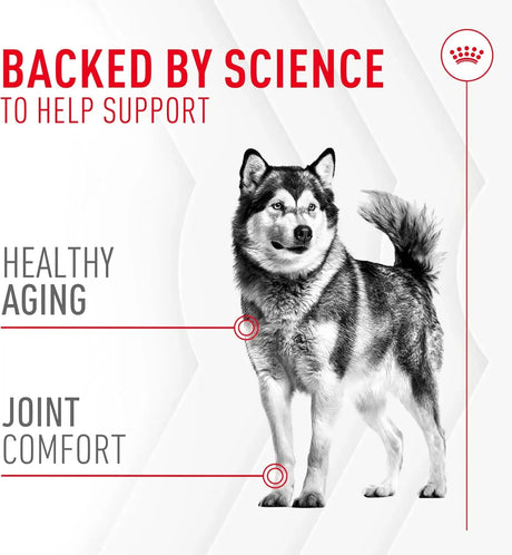 ROYAL CANIN - Royal Canin Joint Supplement Soft Chews for Adult Dogs 60 Masticables - The Red Vitamin MX - Cuidado De Cadera Y Articulaciones Para Perros - {{ shop.shopifyCountryName }}
