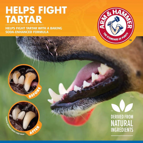 ARM & HAMMER - Arm & Hammer for Pets Dental Water Additive for Dogs 473Ml. - The Red Vitamin MX - Cuidado Dental Para Perros - {{ shop.shopifyCountryName }}