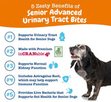 ZESTY PAWS - Zesty Paws Senior Cranberry Supplement for Dogs Chicken 90 Masticables - The Red Vitamin MX - Salud De Tracto Urinario Para Perros - {{ shop.shopifyCountryName }}