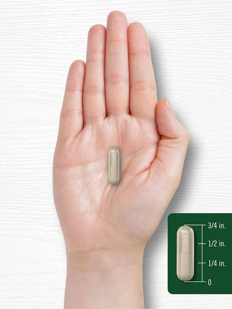 CARLYLE - Carlyle Feverfew 380Mg. 180 Capsulas - The Red Vitamin MX - Suplementos Alimenticios - {{ shop.shopifyCountryName }}