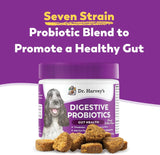 DR. HARVEY'S - Dr. Harvey's Digestive Probiotic Soft Chews for Dogs 90 Masticables - The Red Vitamin MX - Probióticos Para Perros - {{ shop.shopifyCountryName }}