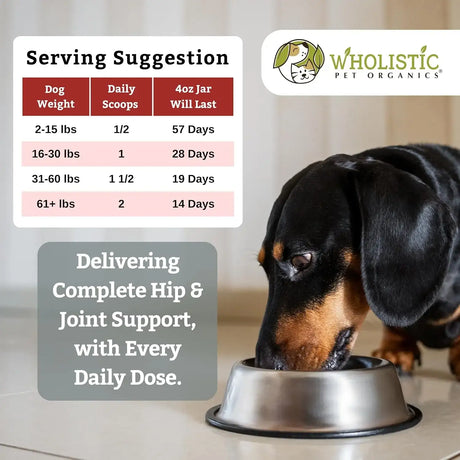 WHOLISTIC PET ORGANICS - Wholistic Pet Organics Run Free Dog Joint Supplement 113Gr. - The Red Vitamin MX - Cuidado De Cadera Y Articulaciones Para Perros - {{ shop.shopifyCountryName }}