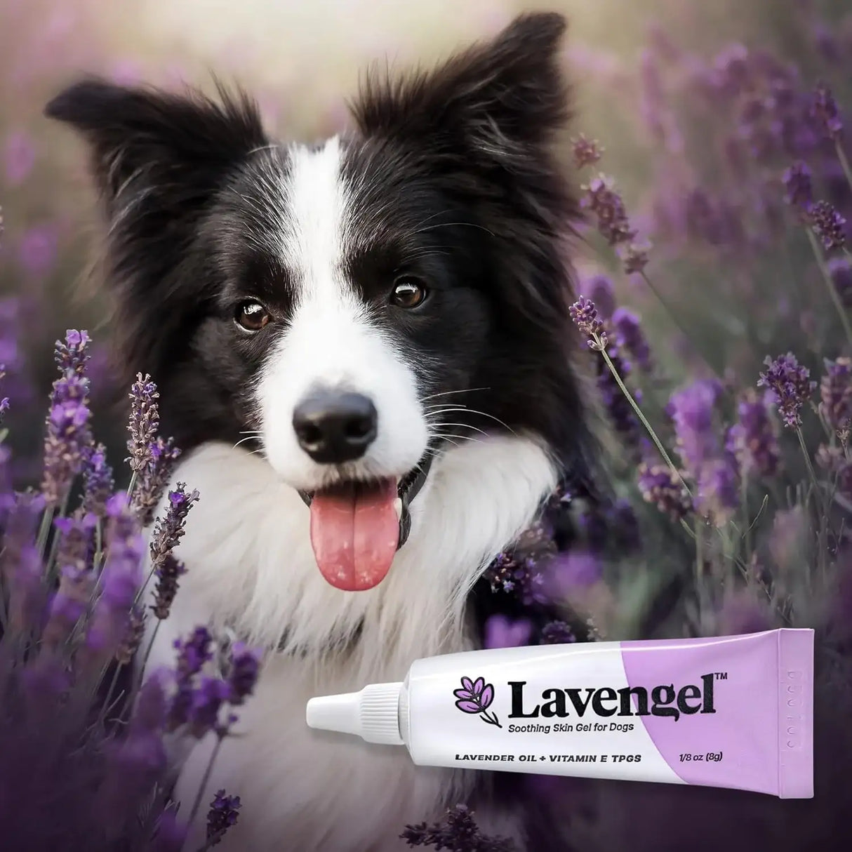 LAVENGEL - Lavengel for Dogs Reduces Skin Irritations and Itching 8Gr. - The Red Vitamin MX - Remedios Para La Picazón De Perros - {{ shop.shopifyCountryName }}