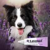 LAVENGEL - Lavengel for Dogs Reduces Skin Irritations and Itching 8Gr. - The Red Vitamin MX - Remedios Para La Picazón De Perros - {{ shop.shopifyCountryName }}