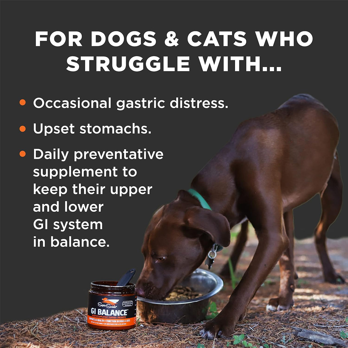 Super Snouts GI Balance Digestive Supplement for Dogs & Cats 88Gr.