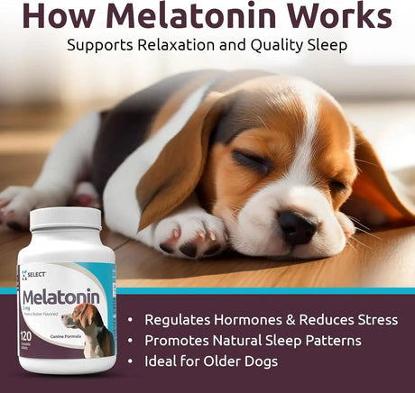 K9 SELECT - K9 Select Melatonin for Dogs Peanut Butter 3Mg. 120 Tabletas Masticables - The Red Vitamin MX - Relajantes Para Perros - {{ shop.shopifyCountryName }}