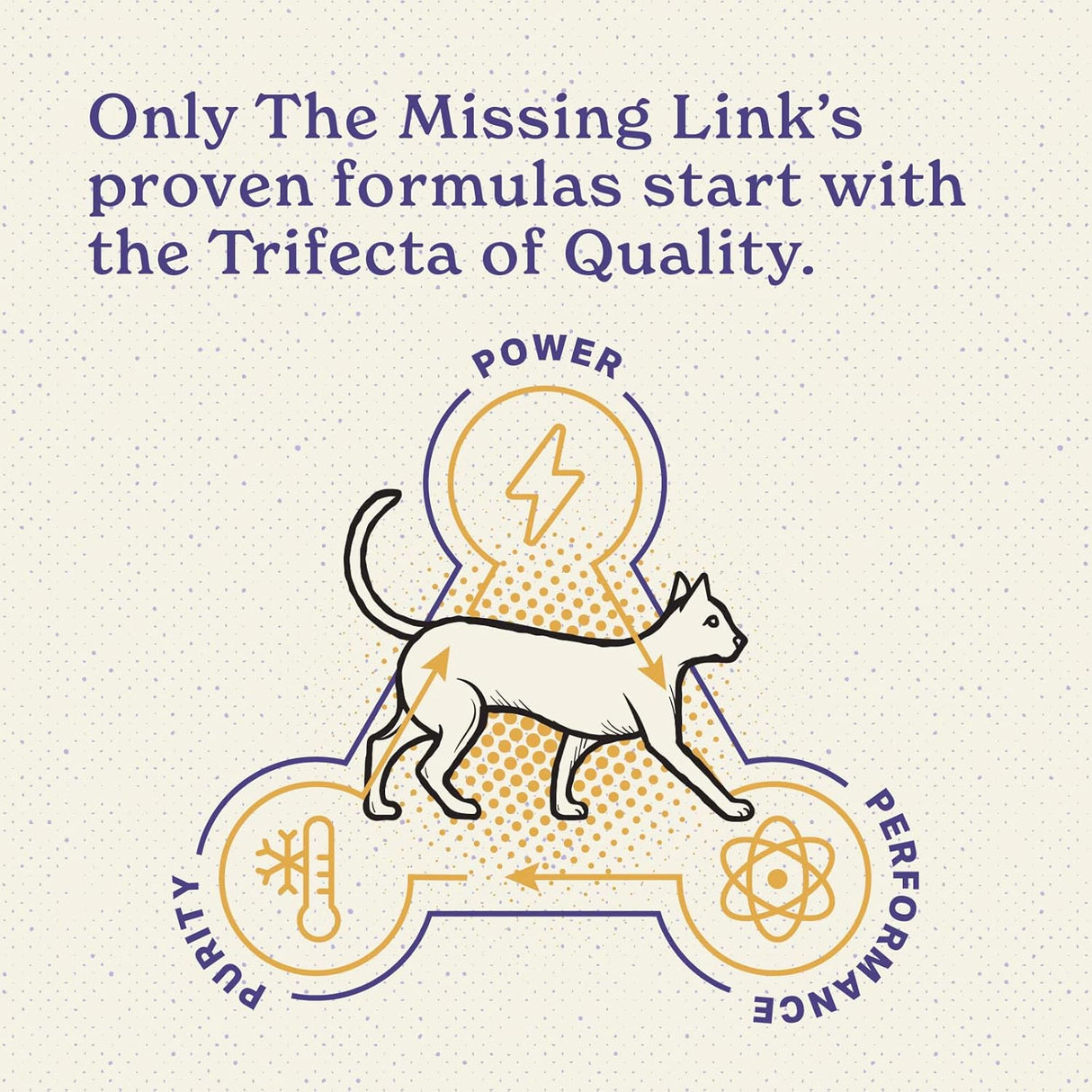 The Missing Link Feline Superfood Supplement Powder 170Gr.