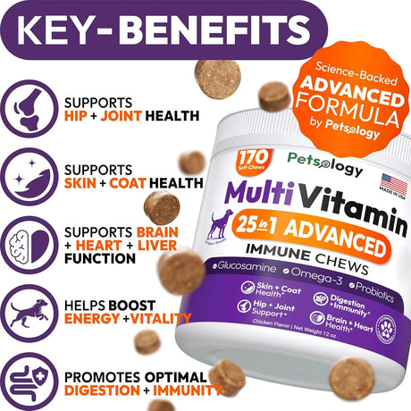 PETSOLOGY - Petsology Dog Multivitamin Chewable 170 Masticables - The Red Vitamin MX - Multivitamínicos Para Perros - {{ shop.shopifyCountryName }}