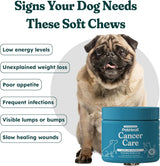PetHeal Cancer Care Chews for Dogs Pork Flavor 30 Masticables