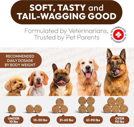 PETSOLOGY - Petsology Multivitamin Mushrooms for Dogs 170 Masticables - The Red Vitamin MX - Multivitamínicos Para Perros - {{ shop.shopifyCountryName }}