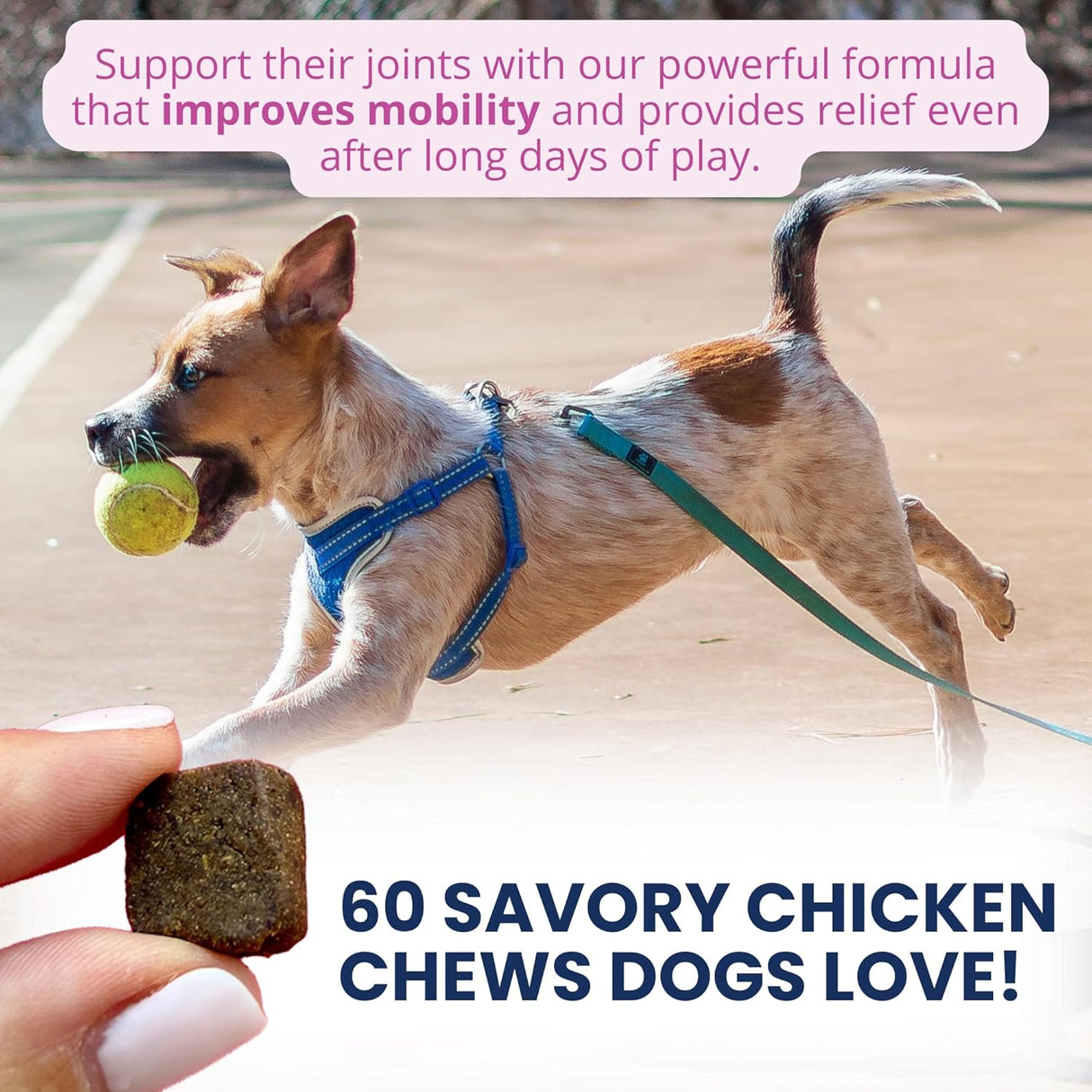 Under the Weather Pet Hip & Joint Chews for Dogs 60 Masticables