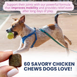 Under the Weather Pet Hip & Joint Chews for Dogs 60 Masticables