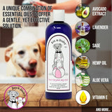 JAX N DAISY - Jax N Daisy Don t let Your Dog Itch Lotion Itch Relief for Dogs 16 Fl.Oz. - The Red Vitamin MX - Remedios Para La Picazón De Perros - {{ shop.shopifyCountryName }}