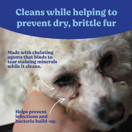 ANGELS' EYES - ANGELS' EYES Gentle Tear Stain & Pet Eye Wipes for All Dogs & Cats 100 Toallitas - The Red Vitamin MX - Cuidado De Los Ojos De Los Perros - {{ shop.shopifyCountryName }}