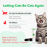 Vetoquinol Viralys Daily L-Lysine Gel for Cats and Kittens 142Gr.