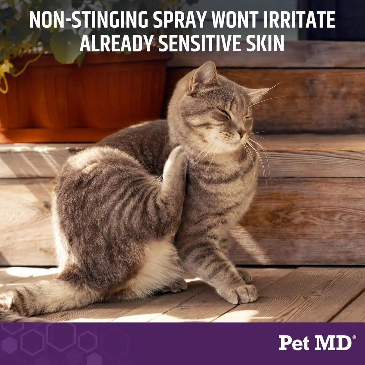 PET MD - Pet MD All-in-One Derm Care Hypochlorous Acid Spray for Dogs & All Pets 8 Fl.Oz. - The Red Vitamin MX - Remedios Para La Picazón De Perros - {{ shop.shopifyCountryName }}