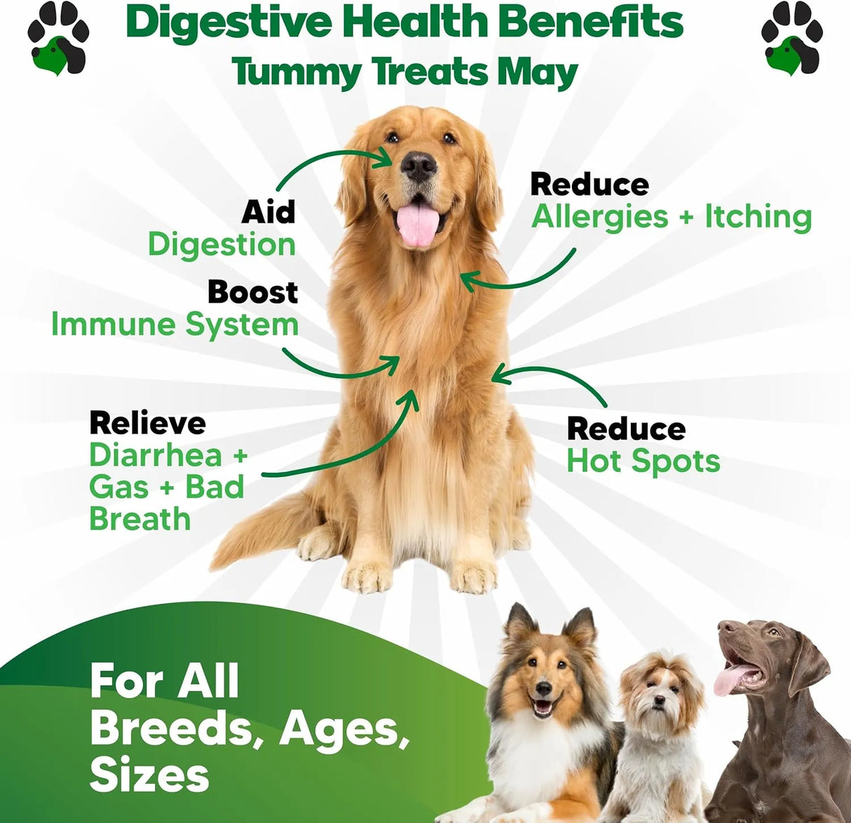 PLANOPAWS - Planopaws Probiotics for Dogs All Ages 90 Masticables - The Red Vitamin MX - Probióticos Para Perros - {{ shop.shopifyCountryName }}