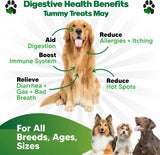 PLANOPAWS - Planopaws Probiotics for Dogs All Ages 90 Masticables - The Red Vitamin MX - Probióticos Para Perros - {{ shop.shopifyCountryName }}