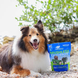 ARK NATURALS - Ark Naturals Brushless Toothpaste Dog Dental Chews for Medium Breeds 508Gr. - The Red Vitamin MX - Cuidado Dental Para Perros - {{ shop.shopifyCountryName }}