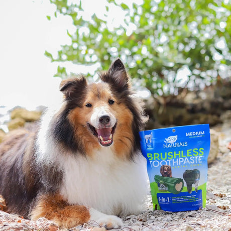 ARK NATURALS - Ark Naturals Brushless Toothpaste Dog Dental Chews for Medium Breeds 508Gr. - The Red Vitamin MX - Cuidado Dental Para Perros - {{ shop.shopifyCountryName }}