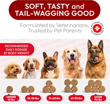 PETSOLOGY - Petsology Dog UTI Treatment Cranberry Chews 170 Masticables - The Red Vitamin MX - Salud De Tracto Urinario Para Perros - {{ shop.shopifyCountryName }}