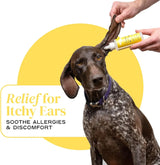 DIVINE CANINE - Divine Canine Dog Ear Cleaner 4 Fl.Oz. - The Red Vitamin MX - Cuidado Del Oído De Perros - {{ shop.shopifyCountryName }}