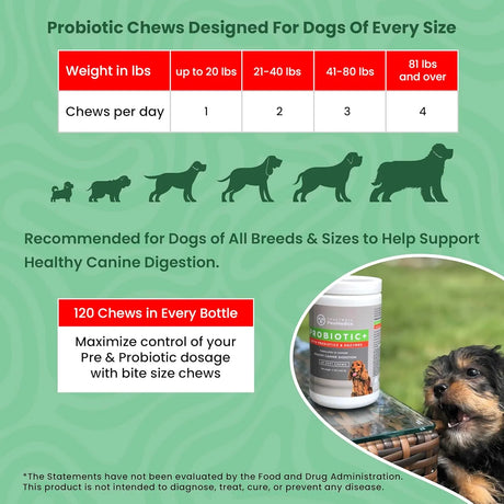 TRUSTWELL PAWMEDICA - TRUSTWELL PAWMEDICA Dog Probiotics and Digestive Enzymes 120 Masticables - The Red Vitamin MX - Probióticos Para Perros - {{ shop.shopifyCountryName }}