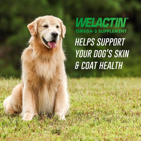 NUTRAMAX - Nutramax Welactin Canine Soft Gel 120 Capsulas Blandas - The Red Vitamin MX - Aceite De Pescado Para Perros - {{ shop.shopifyCountryName }}