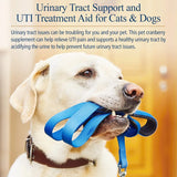 RX VITAMINS - Rx Vitamins Cranberry Pills for Dogs 90 Capsulas - The Red Vitamin MX - Salud De Tracto Urinario Para Perros - {{ shop.shopifyCountryName }}