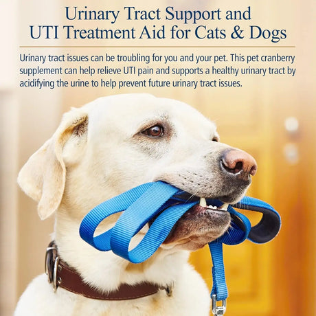 RX VITAMINS - Rx Vitamins Cranberry Pills for Dogs 90 Capsulas - The Red Vitamin MX - Salud De Tracto Urinario Para Perros - {{ shop.shopifyCountryName }}