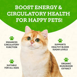 ANIMAL ESSENTIALS - Animal Essentials Wellness Maitake Mushroom 80Gr. - The Red Vitamin MX - Suplementos Herbales Para Perros - {{ shop.shopifyCountryName }}