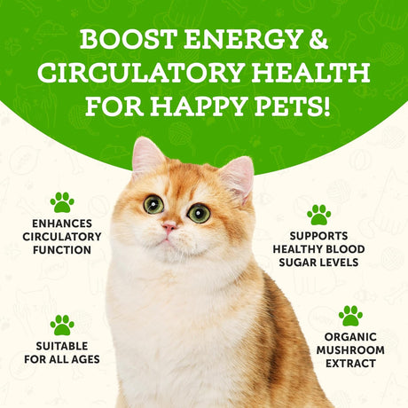 ANIMAL ESSENTIALS - Animal Essentials Wellness Maitake Mushroom 80Gr. - The Red Vitamin MX - Suplementos Herbales Para Perros - {{ shop.shopifyCountryName }}