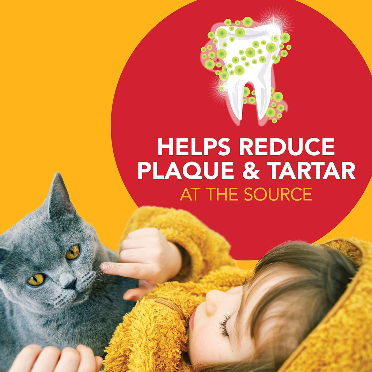 Petrodex Dental Care Kit for Cats Cat Toothbrush and Toothpaste