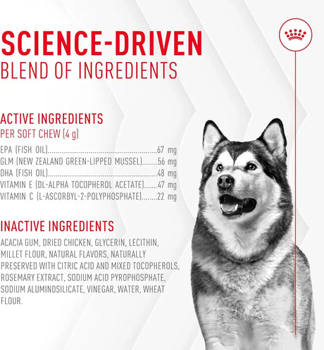 ROYAL CANIN - Royal Canin Joint Supplement Soft Chews for Adult Dogs 60 Masticables - The Red Vitamin MX - Cuidado De Cadera Y Articulaciones Para Perros - {{ shop.shopifyCountryName }}