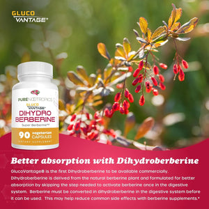 PURE NOOTROPICS - Pure Nootropics Dihydroberberine 100Mg. 90 Capsulas - The Red Vitamin MX - Suplementos Alimenticios - {{ shop.shopifyCountryName }}