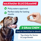 STRELLALAB Advanced Glucosamine Chondroitin Joint for Dogs Large & Senior Bacon Flavor 120 Masticables
