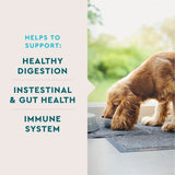 VETIQ - VetIQ Probiotic Supplement for Dogs 60 Masticables - The Red Vitamin MX - Probióticos Para Perros - {{ shop.shopifyCountryName }}