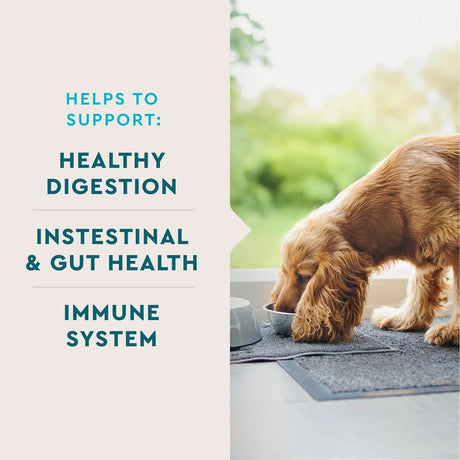 VETIQ - VetIQ Probiotic Supplement for Dogs 60 Masticables - The Red Vitamin MX - Probióticos Para Perros - {{ shop.shopifyCountryName }}