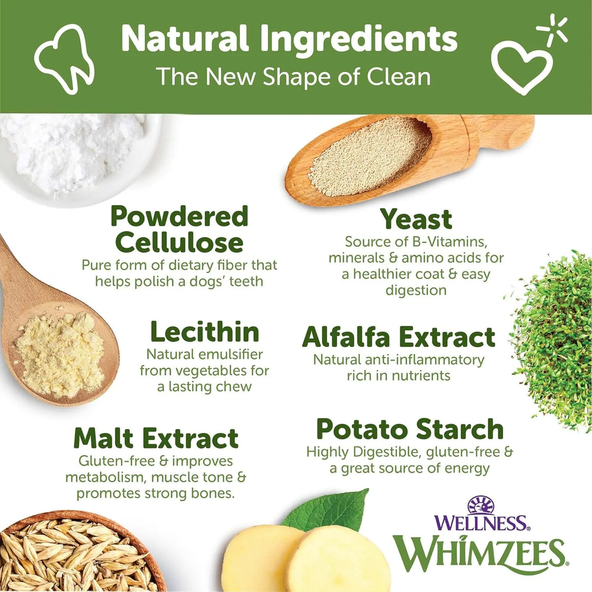 WELLNESS WHIMZEES - WHIMZEES Wellness Brushzees Dog Dental Treats Extra Small Size Stick 48 Piezas - The Red Vitamin MX - Cuidado Dental Para Perros - {{ shop.shopifyCountryName }}