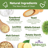 WELLNESS WHIMZEES - WHIMZEES Wellness Brushzees Dog Dental Treats Extra Small Size Stick 48 Piezas - The Red Vitamin MX - Cuidado Dental Para Perros - {{ shop.shopifyCountryName }}