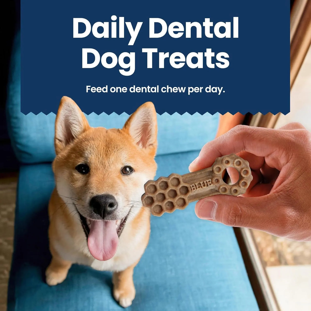 BLUE BUFFALO - Blue Buffalo Dental Chews Large Natural Dog Treats Chicken & Spearmint 14 Piezas - The Red Vitamin MX - Cuidado Dental Para Perros - {{ shop.shopifyCountryName }}
