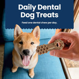 BLUE BUFFALO - Blue Buffalo Dental Chews Large Natural Dog Treats Chicken & Spearmint 14 Piezas - The Red Vitamin MX - Cuidado Dental Para Perros - {{ shop.shopifyCountryName }}