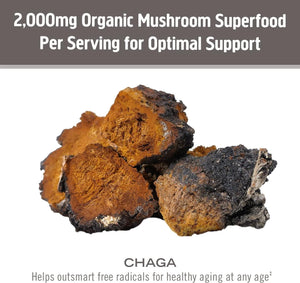 OM - Om Mushroom Superfood Chaga Organic Mushroom Powder 200Gr. - The Red Vitamin MX - Suplementos Alimenticios - {{ shop.shopifyCountryName }}