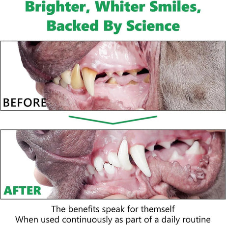 OIMMAL - OIMMAL Dog Teeth Cleaning Dental Powder 50Gr. - The Red Vitamin MX - Cuidado Dental Para Perros - {{ shop.shopifyCountryName }}