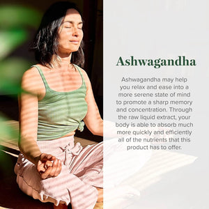 GLOBAL HEALING CENTER - Global Healing Center Organic Ashwagandha Drops 2 Fl.Oz. - The Red Vitamin MX - Suplementos Alimenticios - {{ shop.shopifyCountryName }}
